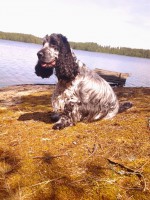 /album/ilpo/whoo13-316-jpg/